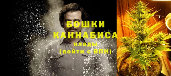 молекула духа Богородск