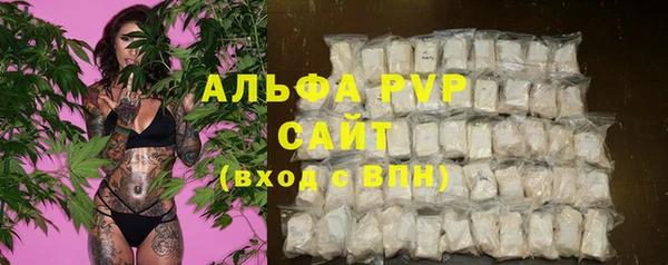 спиды Белокуриха