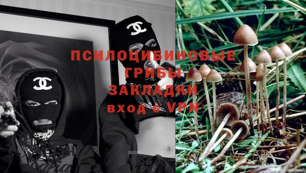прущая мука Богданович