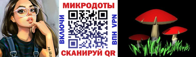 Псилоцибиновые грибы прущие грибы  blacksprut вход  Мариинский Посад 